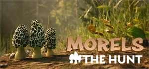 Morels The Hunt