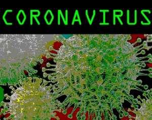 Coronavirus 1.0