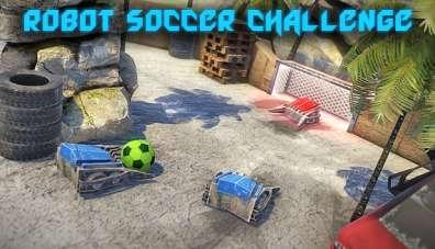 Robot Soccer Challenge