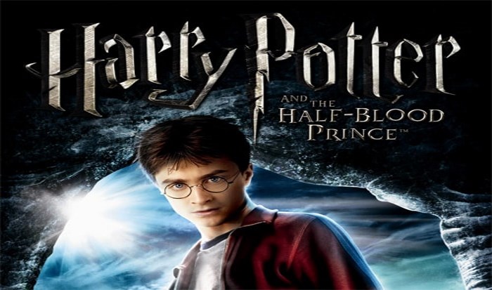 Гарри поттер и принц полукровка игра не запускается на windows 10