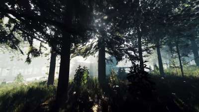 скачать The Forest торрент на компьютер