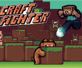 скачать игру Craftfighter бесплатно