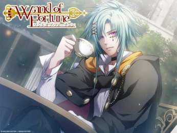 Wand Of Fortune скачать игру