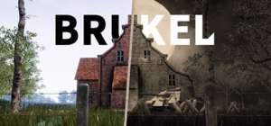 Постер игры Brukel