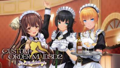 Постер игры CUSTOM ORDER MAID 3D2 It's a Night Magic