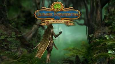 Постер игры Дальние королевства: Тайная магия