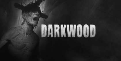 Постер игры Darkwood
