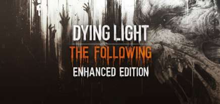 Постер игры Dying Light The Following