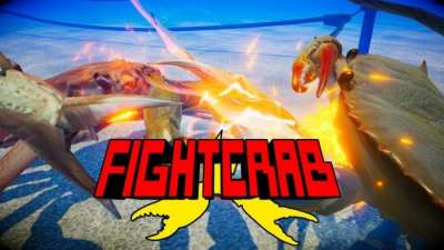 Постер игры Fight Crab