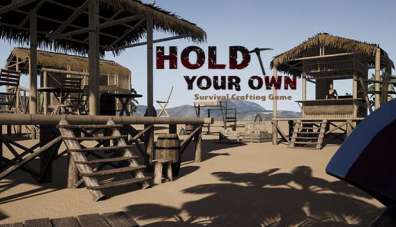 Постер игры Hold Your Own