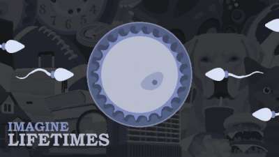 Постер игры Imagine Lifetimes - Early Edition