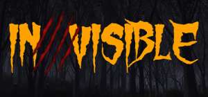 Постер игры Invisible