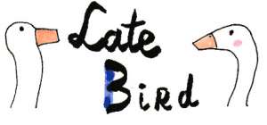Постер игры Late Bird