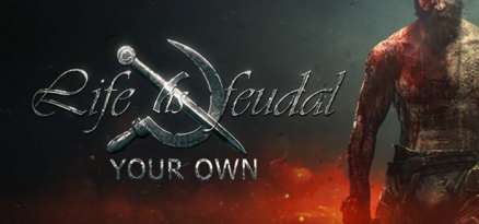 Постер игры Life is Feudal Your Own