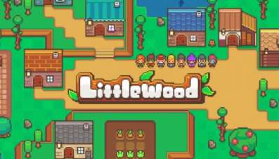 Постер игры Littlewood