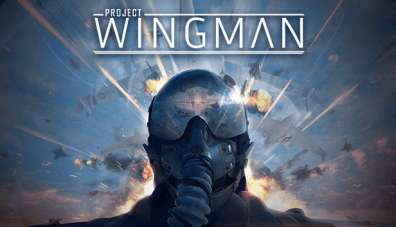 Постер игры Project Wingman