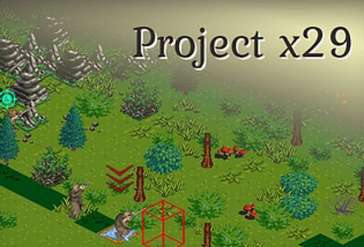 Постер игры Project x29