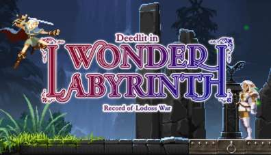 Постер игры Record of Lodoss War-Deedlit in Wonder Labyrinth-