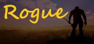 Постер игры Rogue
