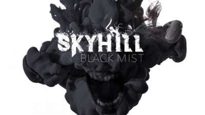 Постер игры Skyhill: Black Mist