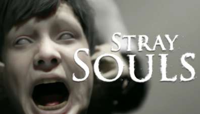 Постер игры Stray Souls
