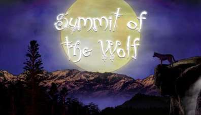 Постер игры Summit of the Wolf