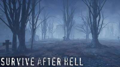 Постер игры Survive after hell