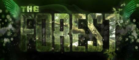Постер игры The Forest