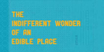Постер игры The Indifferent Wonder of an Edible Place