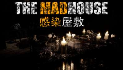Постер игры THE MADHOUSE
