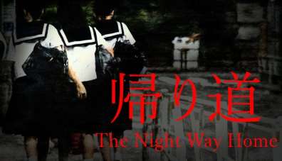 Постер игры The Night Way Home