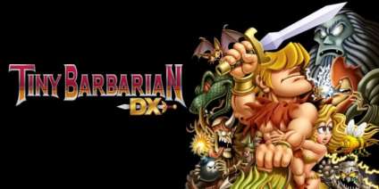Постер игры Tiny Barbarian DX