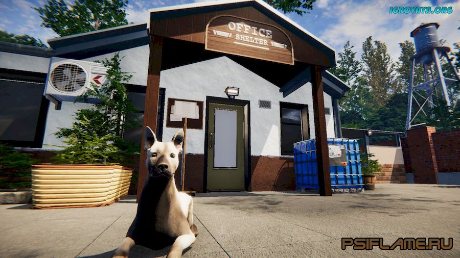 Animal shelter simulator прохождение