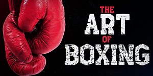 Art of Boxing