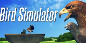 Bird Simulator