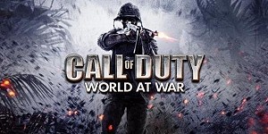 Call of Duty World at War + Онлайн