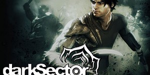 Dark Sector