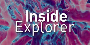 Inside Explorer