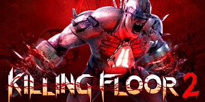 Killing Floor 2 + Онлайн