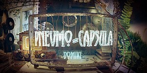 Pnevmo-Capsula: Domiki