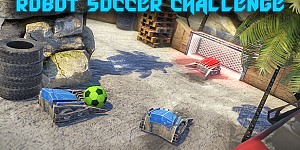 Robot Soccer Challenge