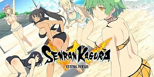 Senran Kagura Estival Versus