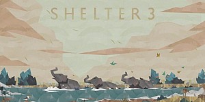 Shelter 3