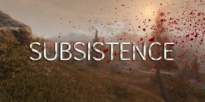 Subsistence