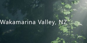 Wakamarina Valley, New Zealand