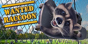 Wanted Raccoon